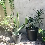 Dans Maison, Indépendant Et Jardin