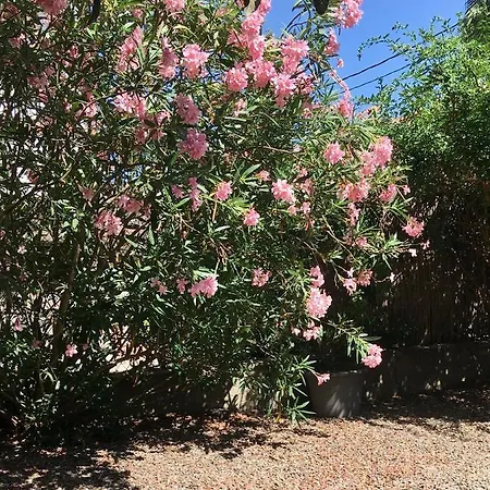 Lejlighed Dans Maison, Independant Et Jardin Perpignan