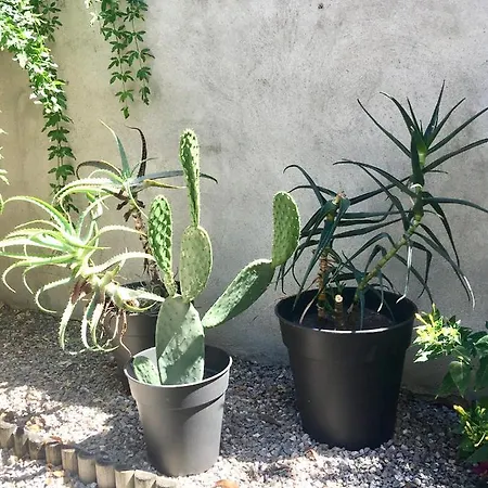 Dans Maison, Independant Et Jardin