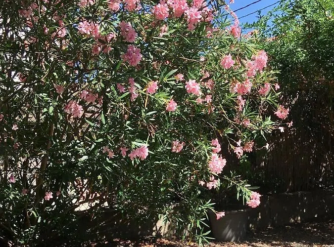 Apartament Dans Maison, Independant Et Jardin Perpignan