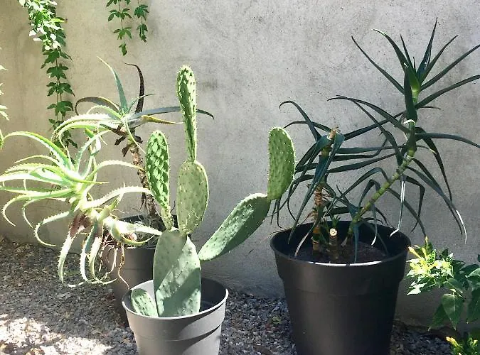 Dans Maison, Indépendant Et Jardin